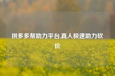 拼多多帮助力平台,真人极速助力砍价