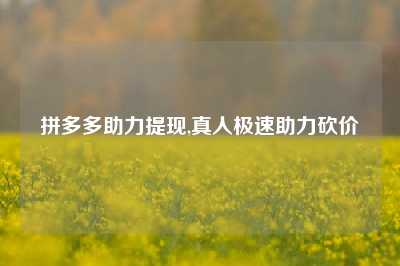 拼多多助力提现,真人极速助力砍价