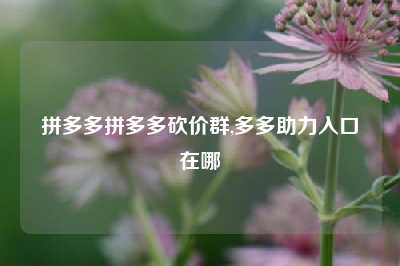拼多多拼多多砍价群,多多助力入口在哪