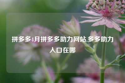 拼多多4月拼多多助力网站,多多助力入口在哪