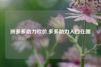 拼多多助力砍价,多多助力入口在哪