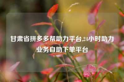 甘肃省拼多多帮助力平台,24小时助力业务自助下单平台