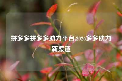 拼多多拼多多助力平台,2026多多助力新渠道
