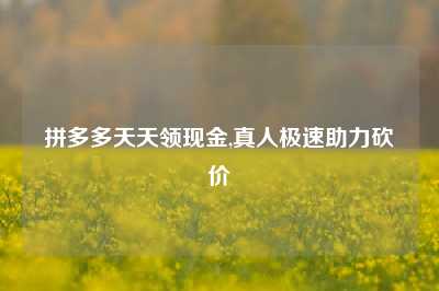 拼多多天天领现金,真人极速助力砍价