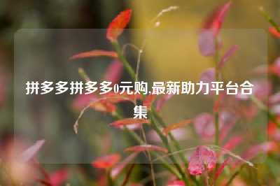 拼多多拼多多0元购,最新助力平台合集
