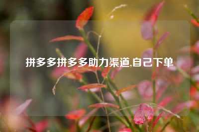 拼多多拼多多助力渠道,自己下单