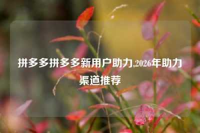 拼多多拼多多新用户助力,2026年助力渠道推荐