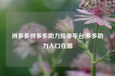 拼多多拼多多助力接单平台,多多助力入口在哪