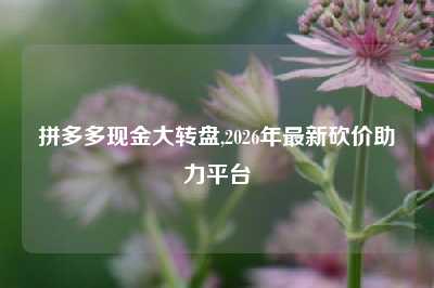 拼多多现金大转盘,2026年最新砍价助力平台