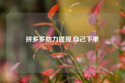 拼多多助力提现,自己下单