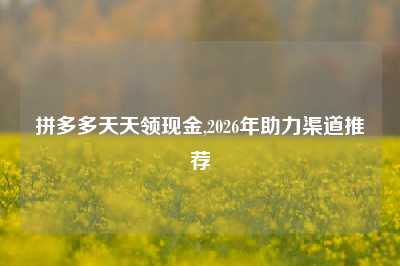 拼多多天天领现金,2026年助力渠道推荐