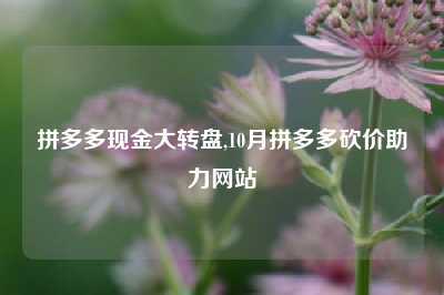 拼多多现金大转盘,10月拼多多砍价助力网站