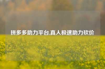 拼多多助力平台,真人极速助力砍价