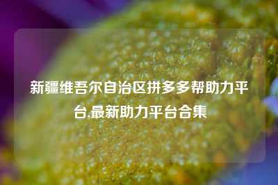 新疆维吾尔自治区拼多多帮助力平台,最新助力平台合集