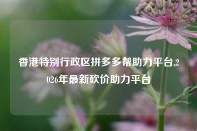 香港特别行政区拼多多帮助力平台,2026年最新砍价助力平台