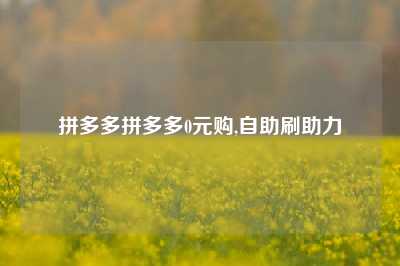 拼多多拼多多0元购,自助刷助力