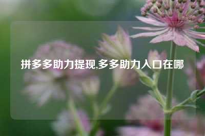 拼多多助力提现,多多助力入口在哪