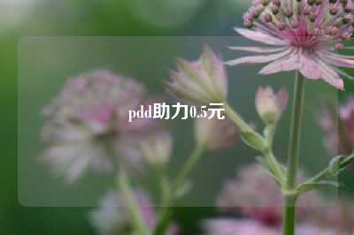 pdd助力0.5元