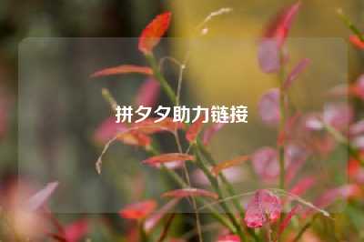 拼夕夕助力链接