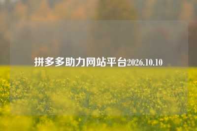 拼多多助力网站平台2026.10.10