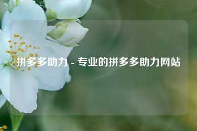 拼多多助力 - 专业的拼多多助力网站