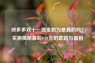拼多多双十一现金助力是真的吗？实测揭秘最后0.01元的套路与真相