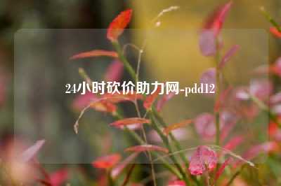 24小时砍价助力网-pdd12