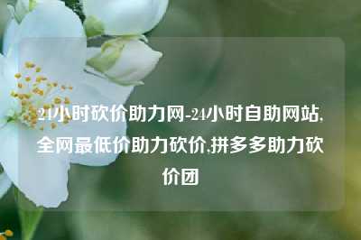 24小时砍价助力网-24小时自助网站,全网最低价助力砍价,拼多多助力砍价团
