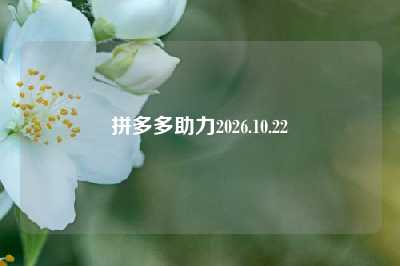 拼多多助力2026.10.22