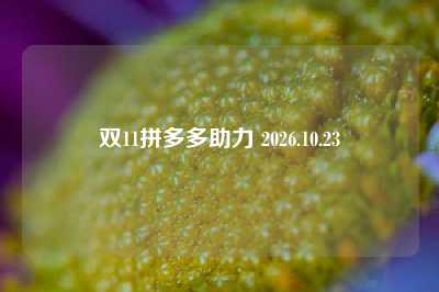 双11拼多多助力 2026.10.23